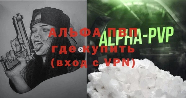прущие грибы Богданович