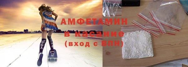 прущие грибы Богданович