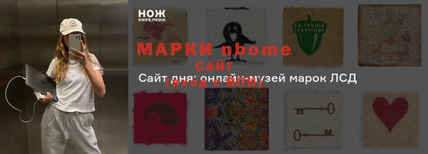 прущие грибы Богданович