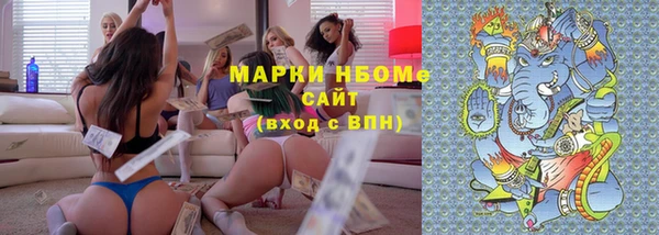 прущие грибы Богданович
