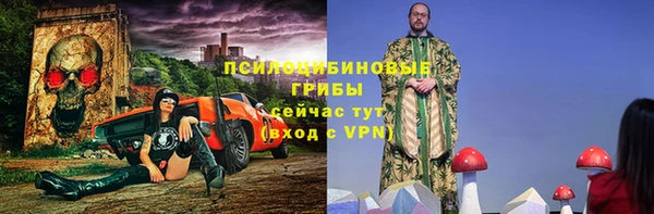 прущие грибы Богданович
