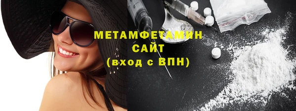 прущие грибы Богданович
