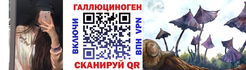Псилоцибиновые грибы прущие грибы  Купить закладки  Боровичи 