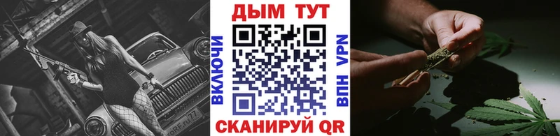 Купить  Боровичи  Шишки марихуана SATIVA & INDICA 